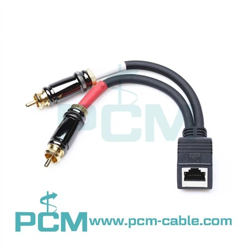 RJ45 sieviešu un divu RCA vīriešu adaptera kabelis priekš AXIA